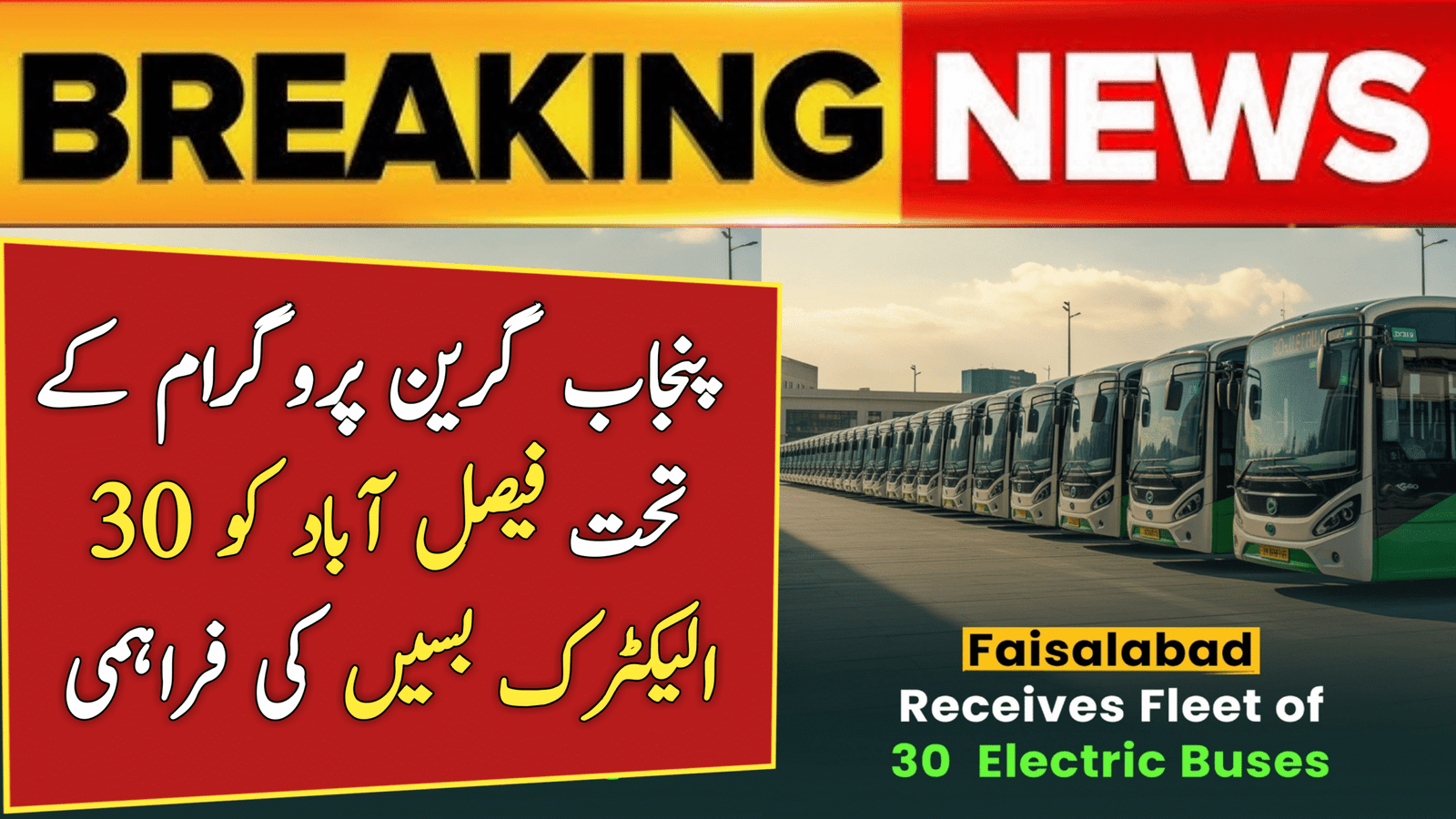 Faisalabad Gets 30 Electric Buses