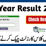 1st Year Result 2025