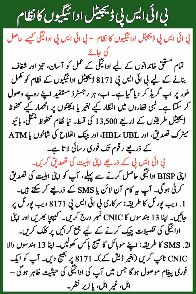 BISP 8171 Digital Payments System