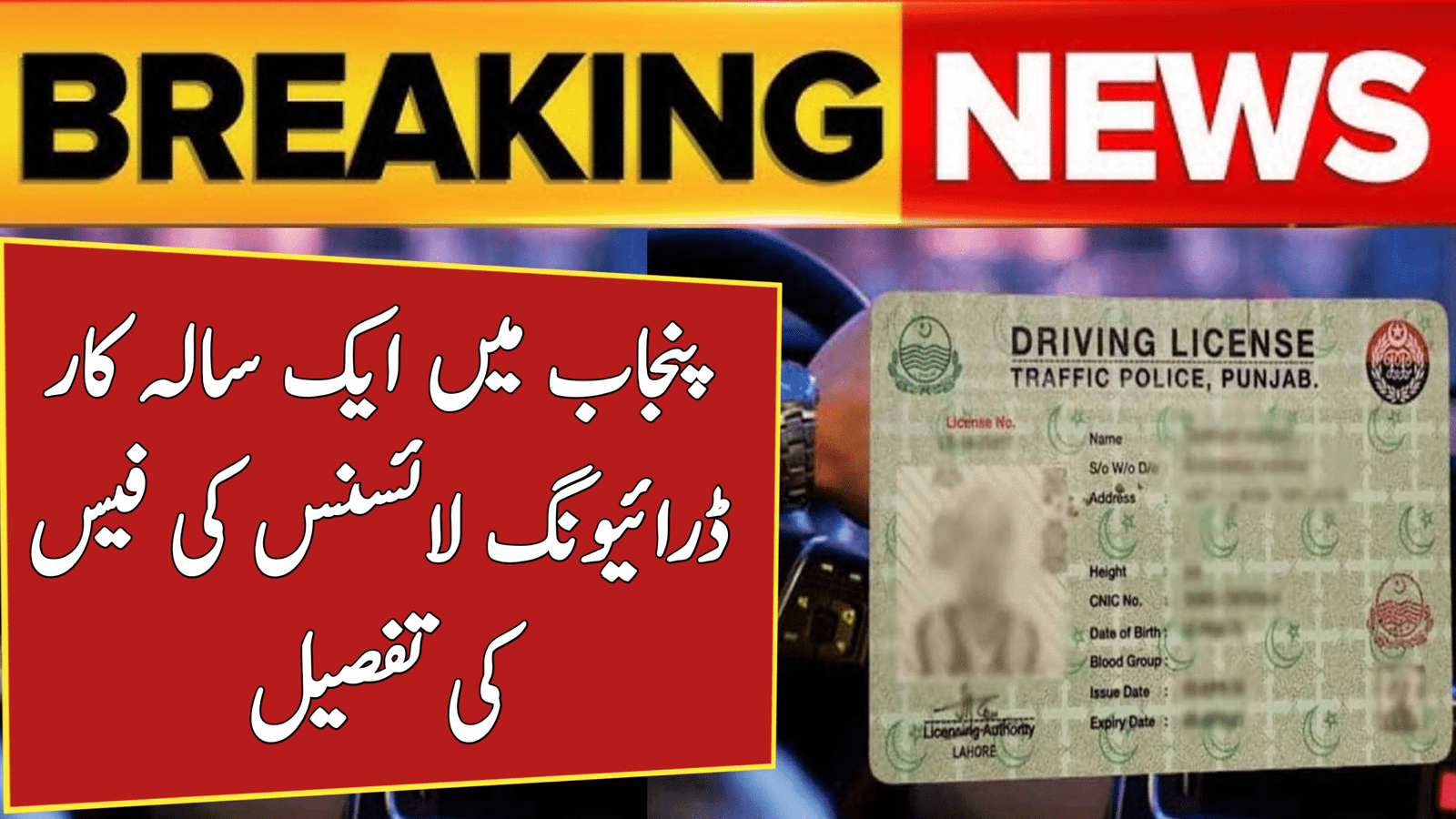 One-Year Car Driving Licence Fee