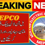 MEPCO Bill Online Check