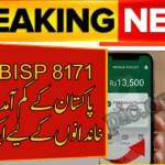 BISP 8171 Payment Discreet