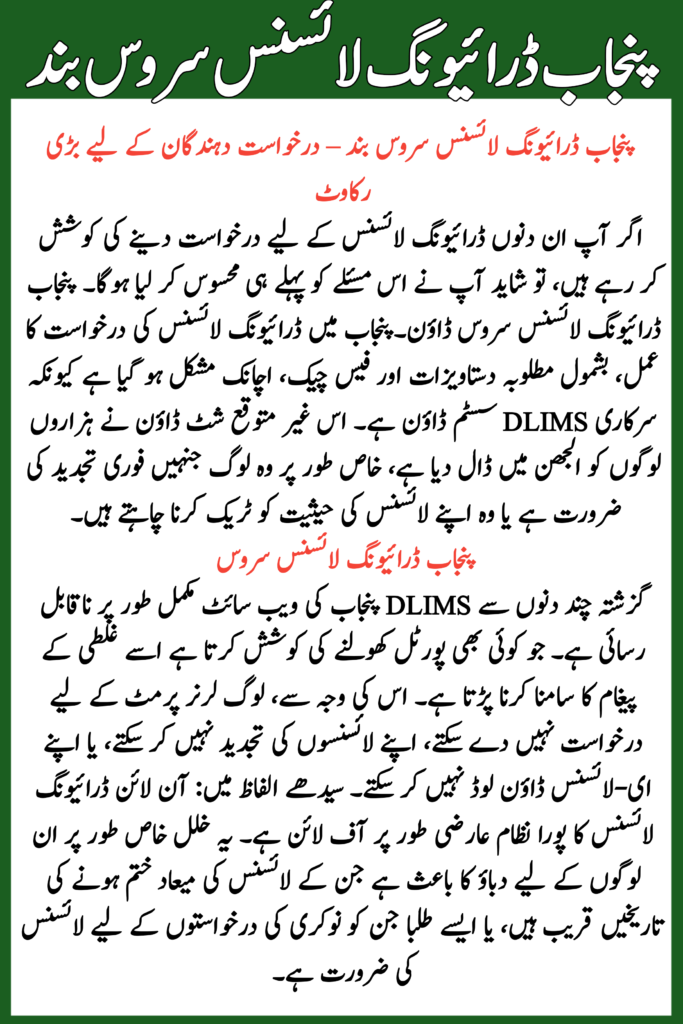 Punjab Driving License Service