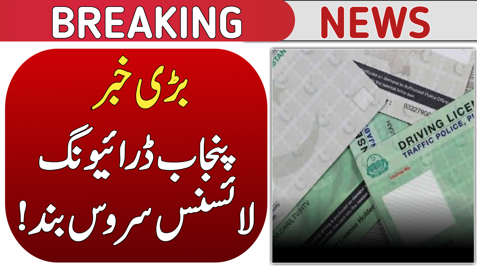 Punjab Driving License Service