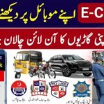 E-challan Check Lahore