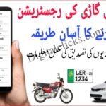 Online Vehicle Verification Pakistan