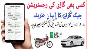 Online Vehicle Verification Pakistan