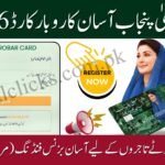 CM Punjab Asaan Karobar Card